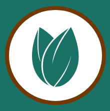 cocoa bean logo