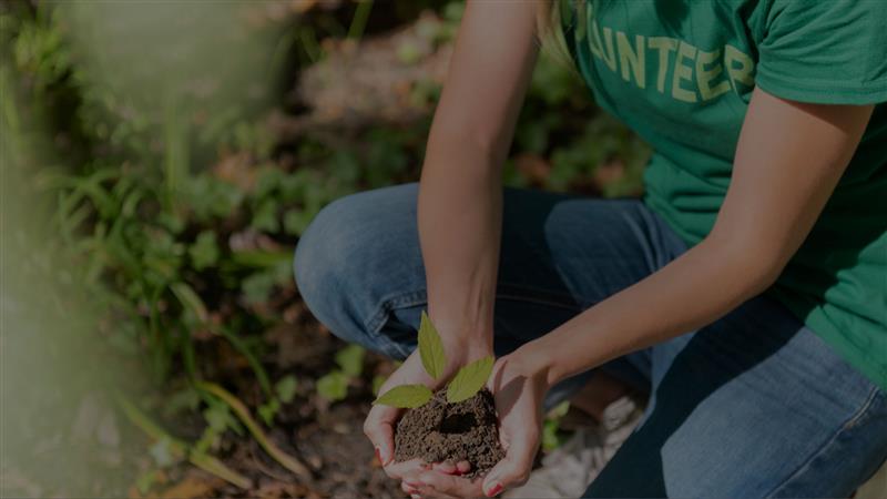 two hands holding a small plant in a garden