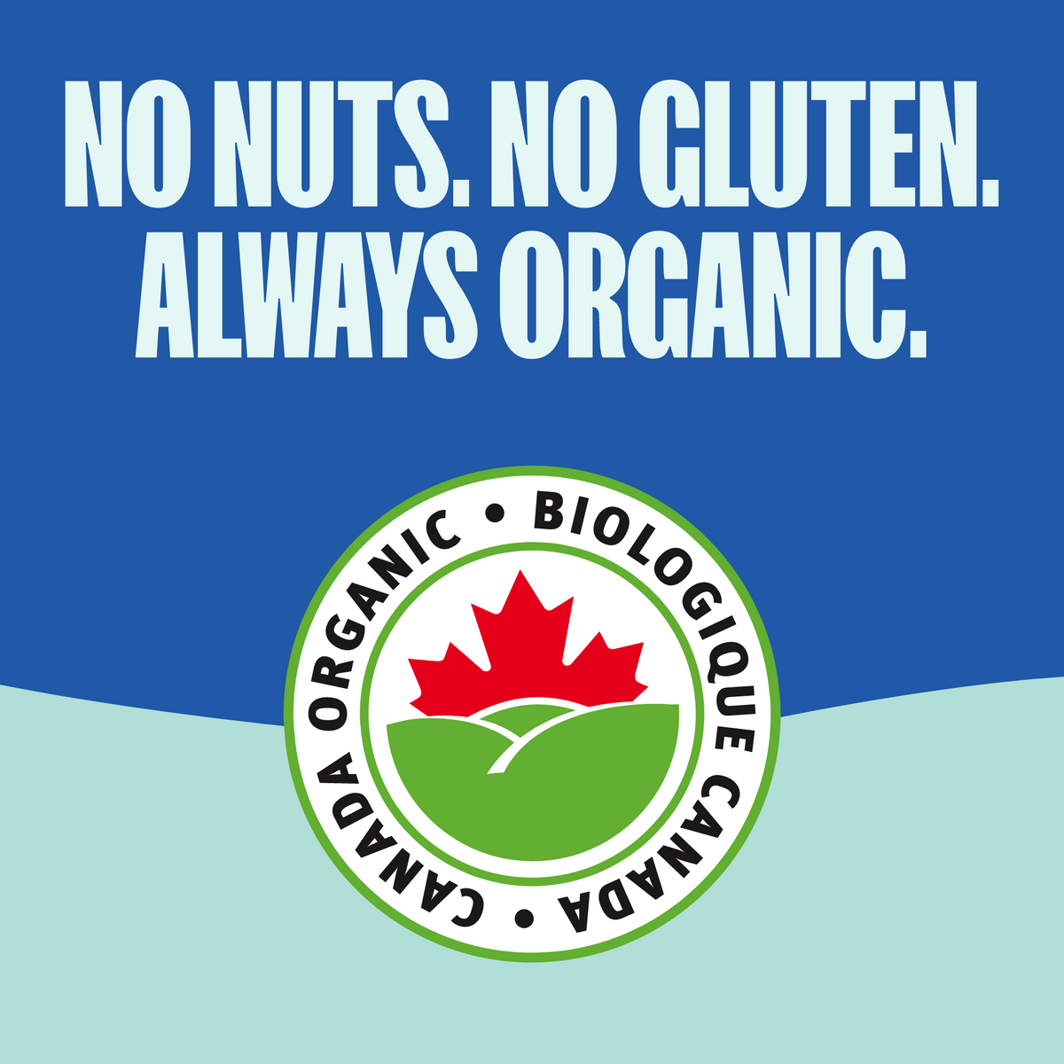 Carrés croustillants à la vanille (total de 36 unités)
