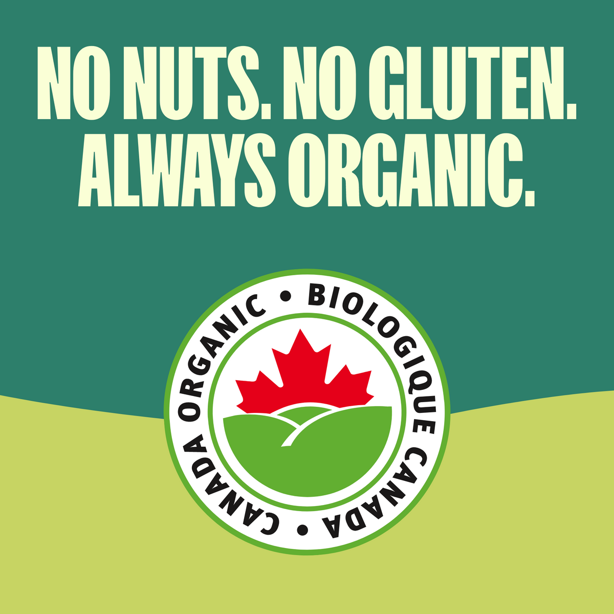 Snackers Chili Lime Organic Sweet Potato Crackers