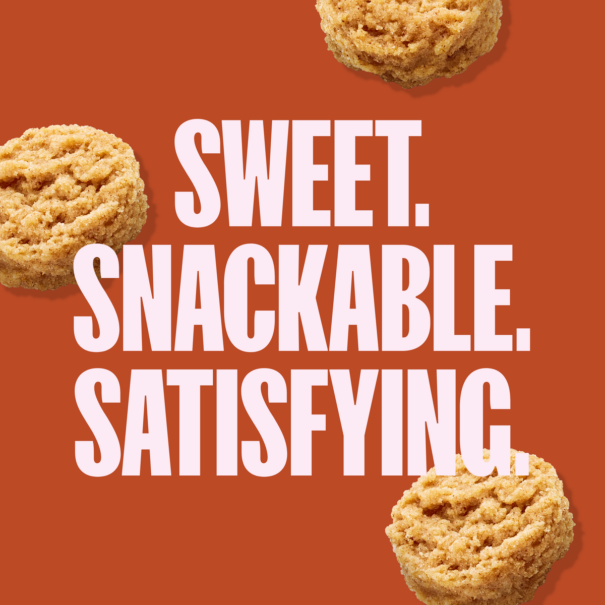 Sweet Cinnamon Soft Baked Mini Cookies