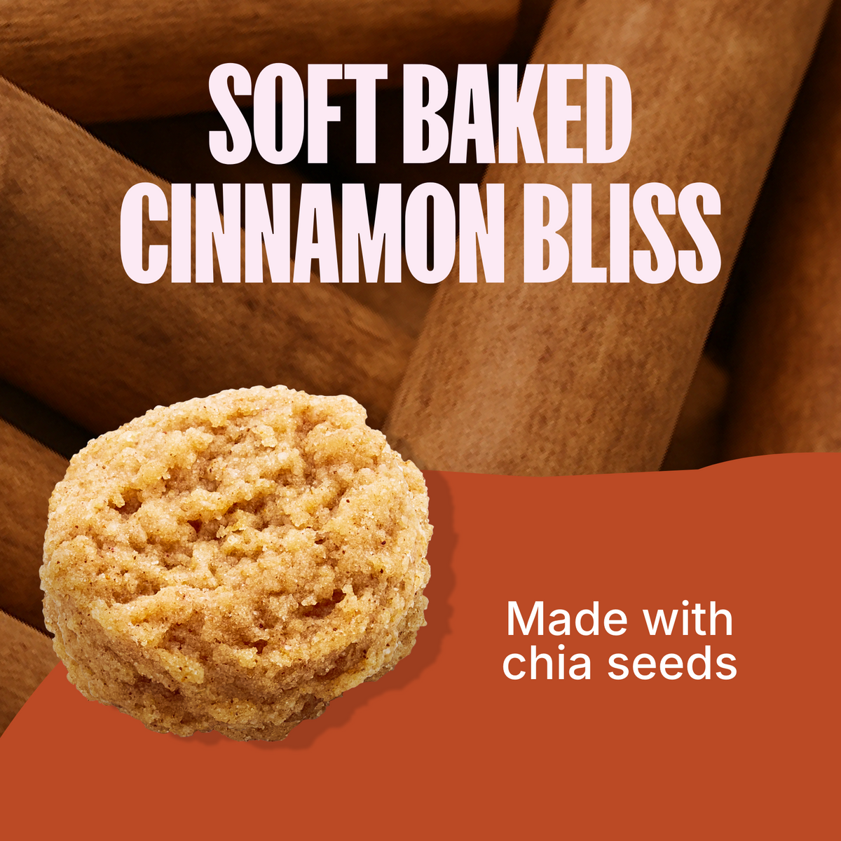Sweet Cinnamon Soft Baked Mini Cookies