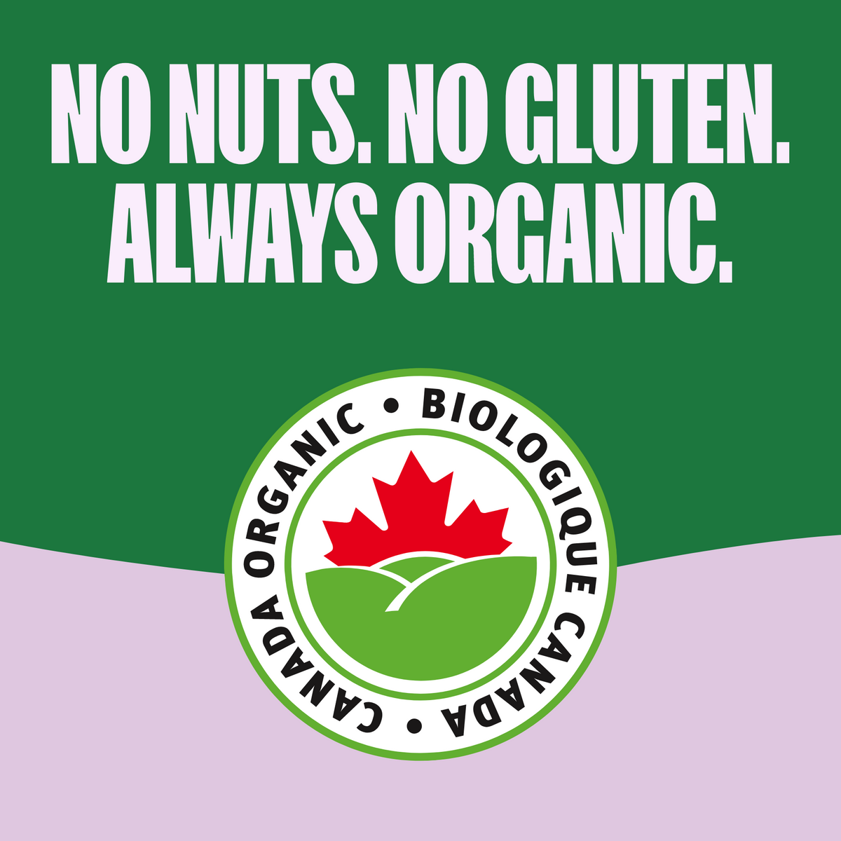 Bouchées de granola biologique aux fruits secs et graines