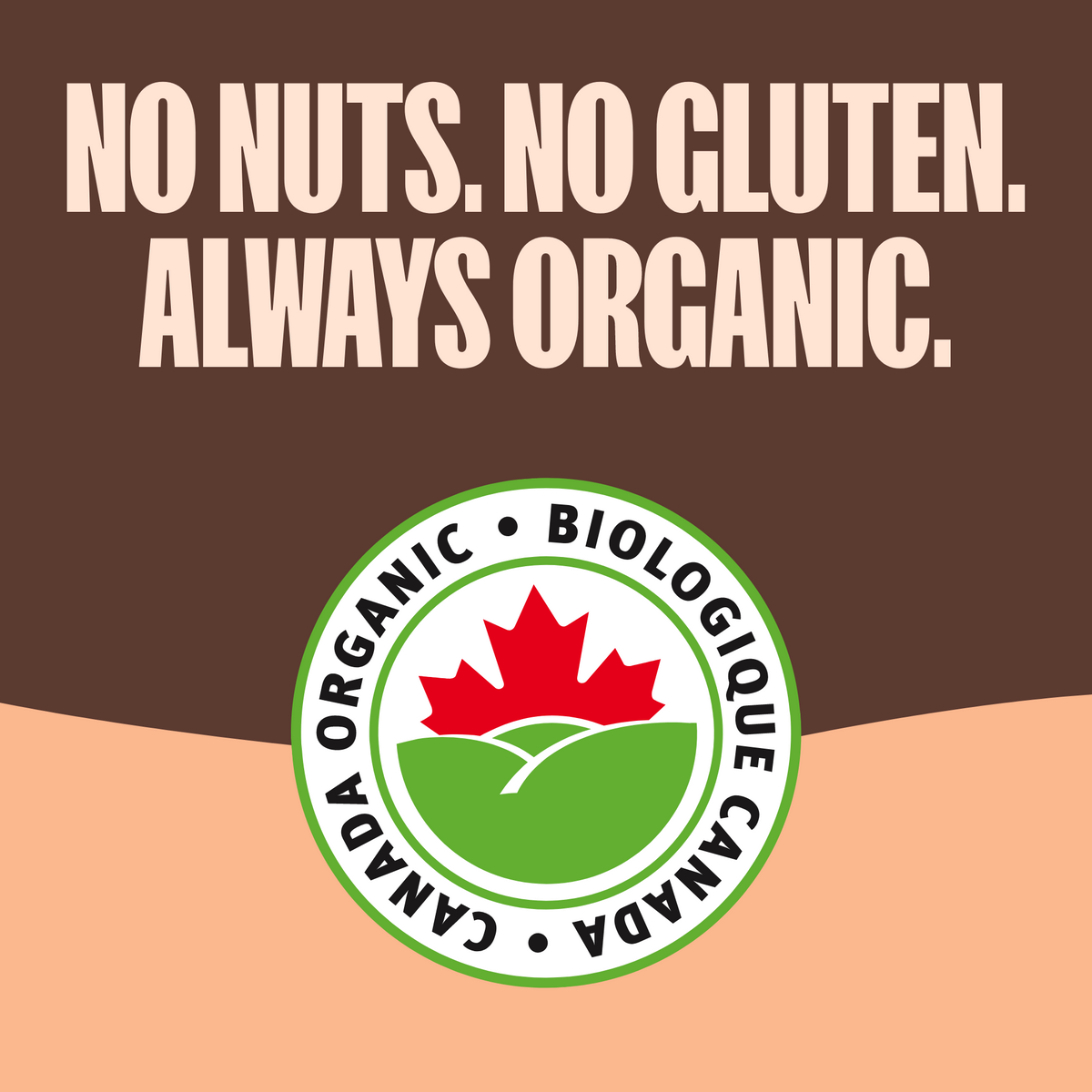 Carrés de granola croustillants - Avoine et chocolat noir